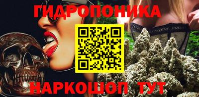 mdpv Кандалакша