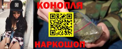 spice Камышлов
