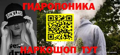 mdpv Кандалакша