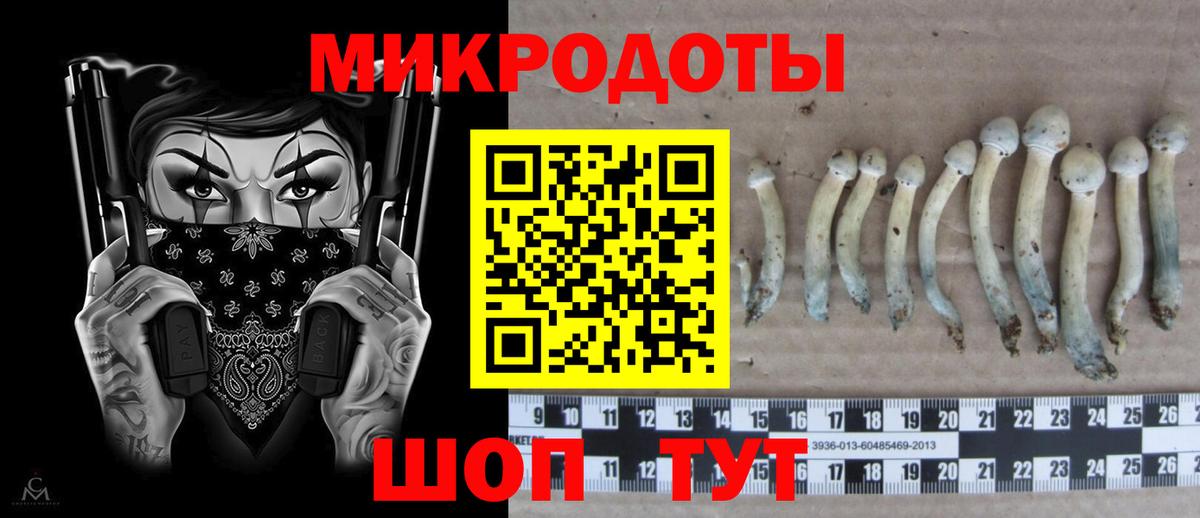 Галлюциногенные грибы Psilocybe  Вход с VPN  Галлюциногенные грибы Cubensis  продажа наркотиков  Курчалой 
